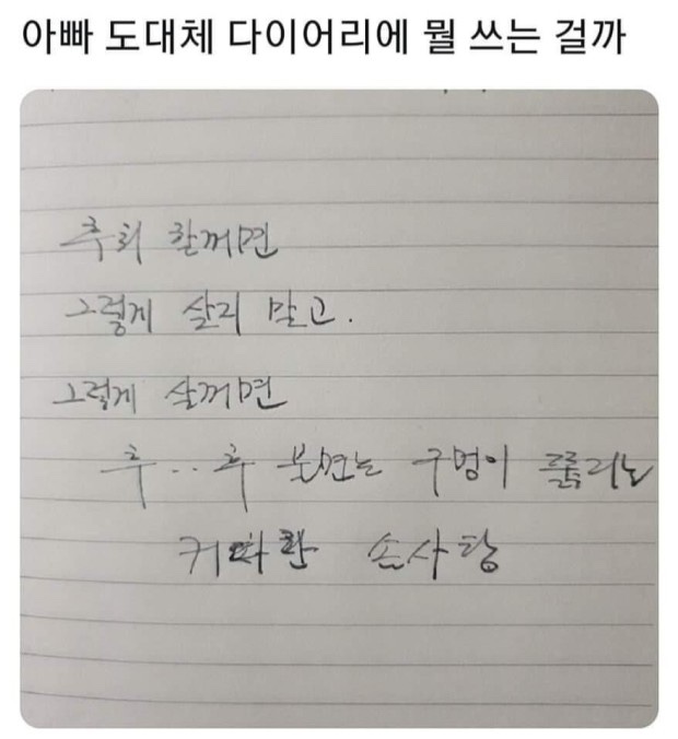 영앤로또 이미지