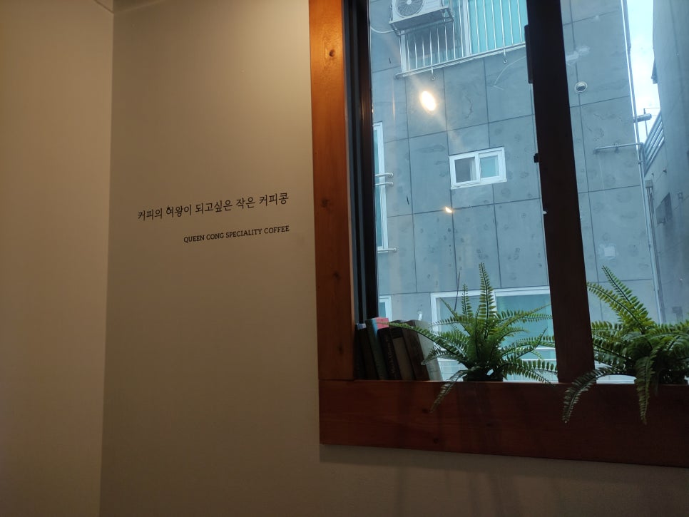커피콩(coffee cong) 이미지