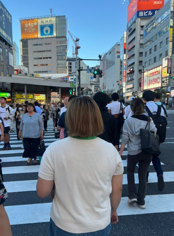 미미토토 이미지