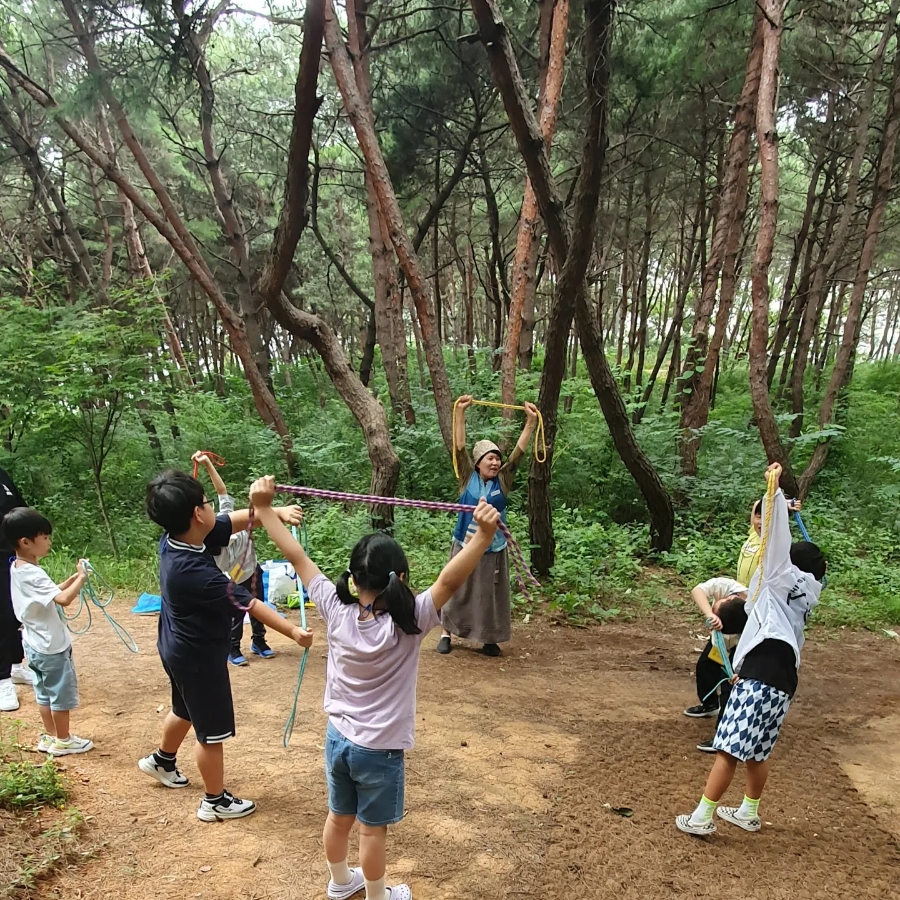 주식회사 숲 이미지