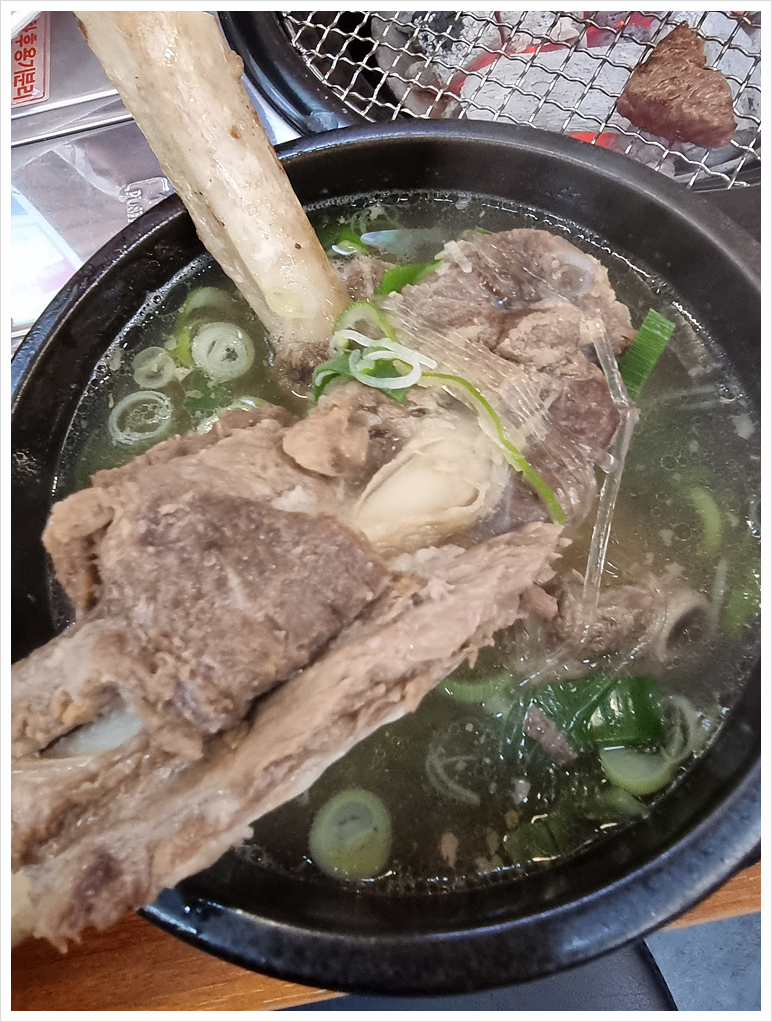 청년장어 이미지