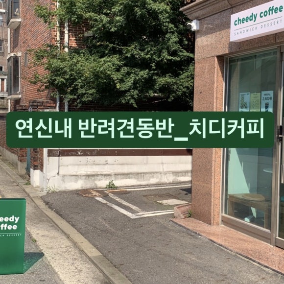 치디커피 이미지