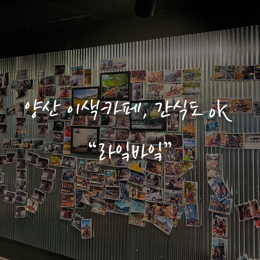 라잌바잌 이미지