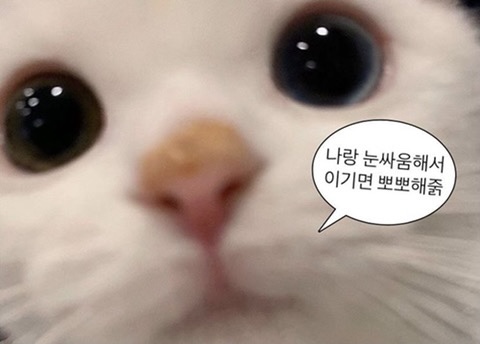 네일 리유 이미지