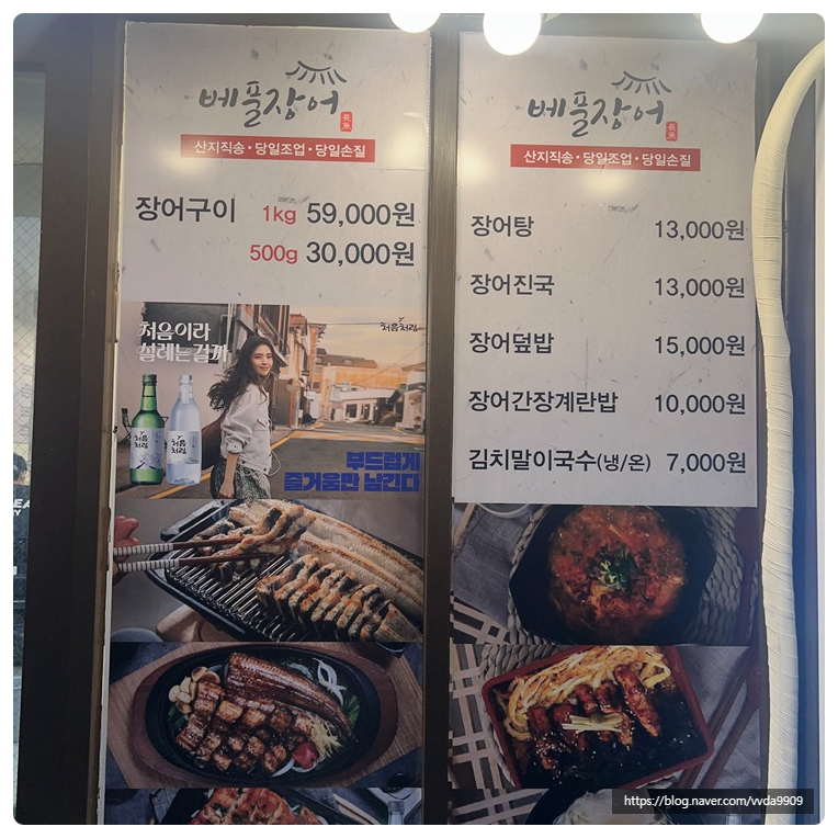 베풀장어 이미지