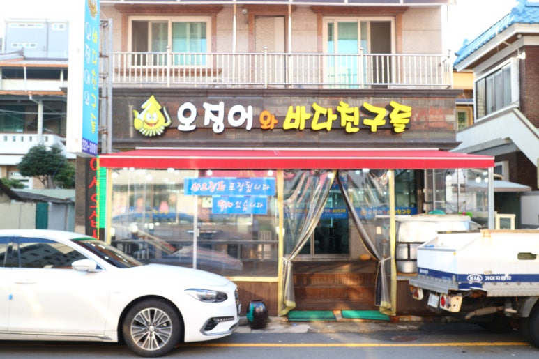온마리오징어와바다친구들 이미지