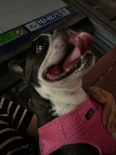 빽다방 강남역CGV점 이미지