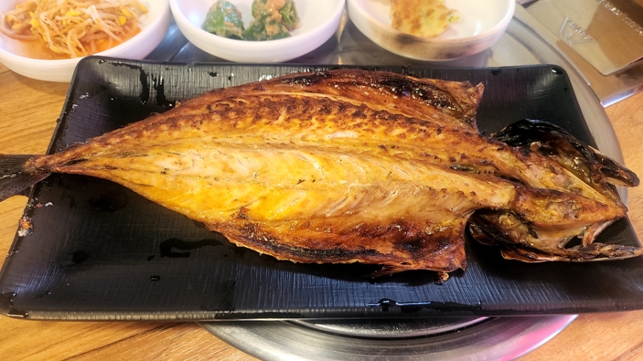 고도일병원 이미지