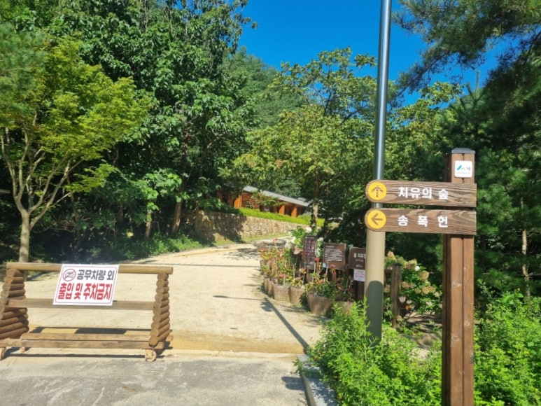삼척 활기 치유의 숲 이미지