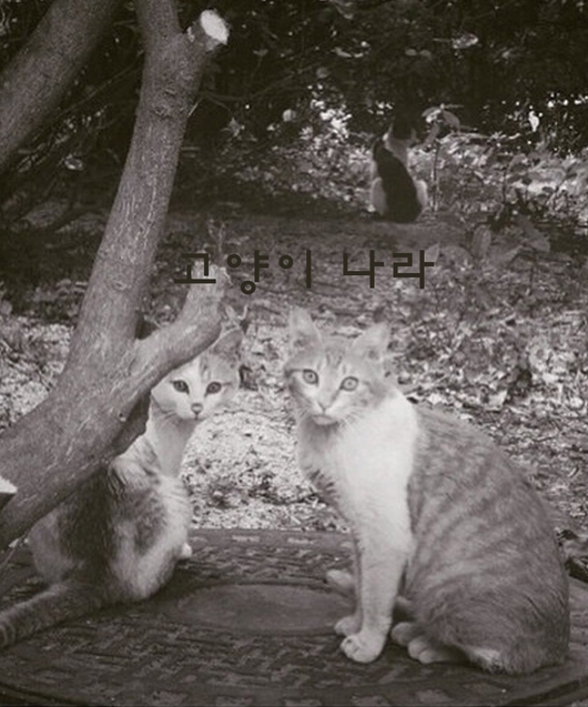 강변식육점 이미지