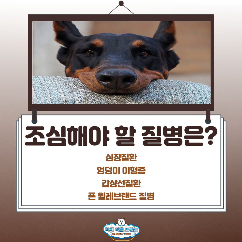 마리프 이미지