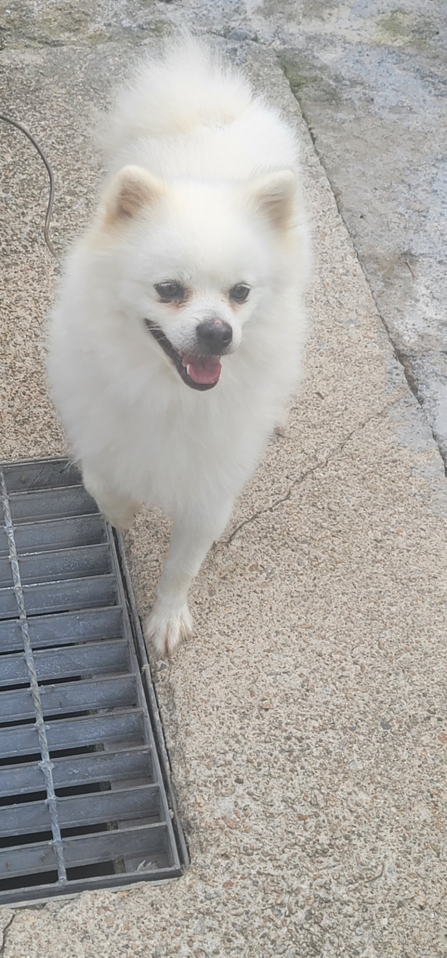 산천닭개장 이미지