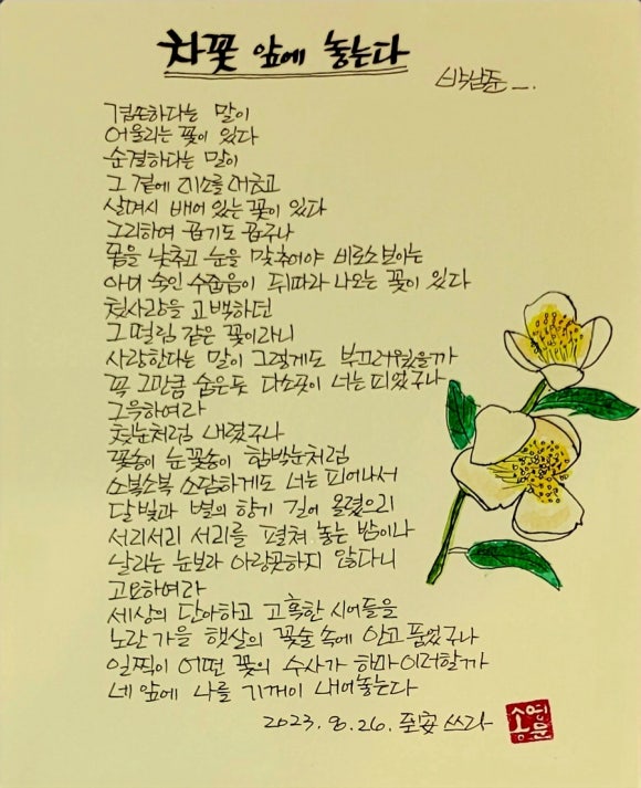 차꽃향기 이미지