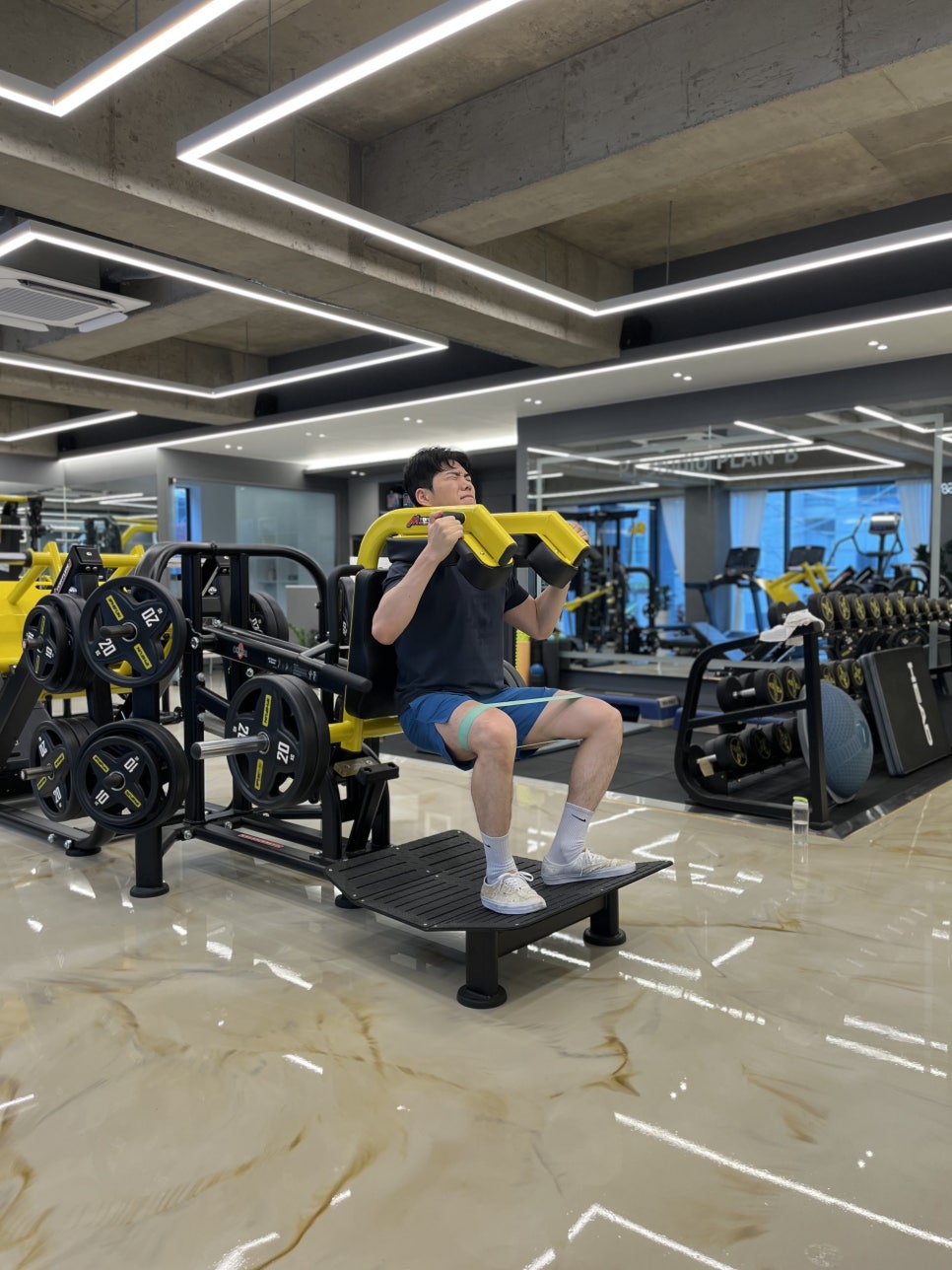 플렌비 이미지