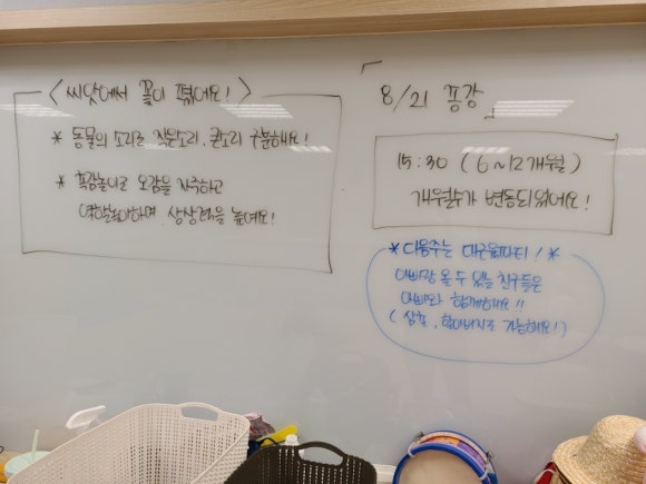 도레미씨앗 이미지