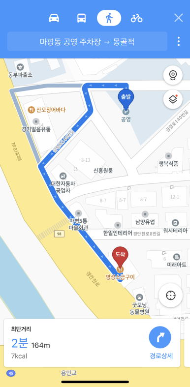 몽골적 이미지