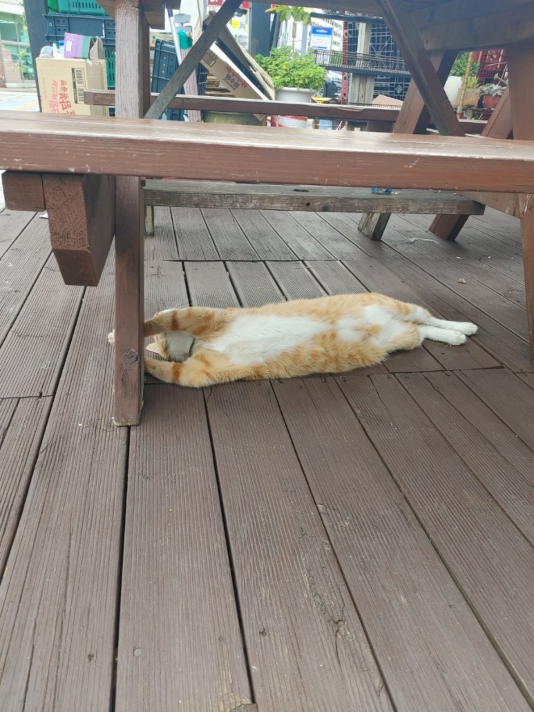 눕카페 이미지