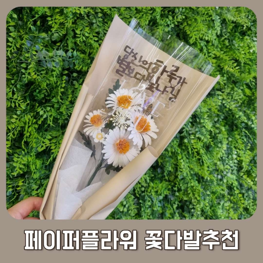 용매토퍼 이미지