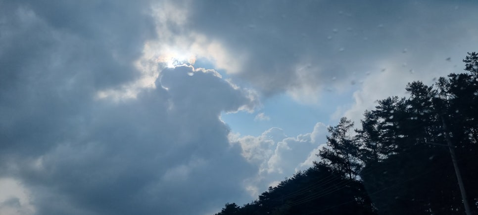 팀케이다이브 이미지