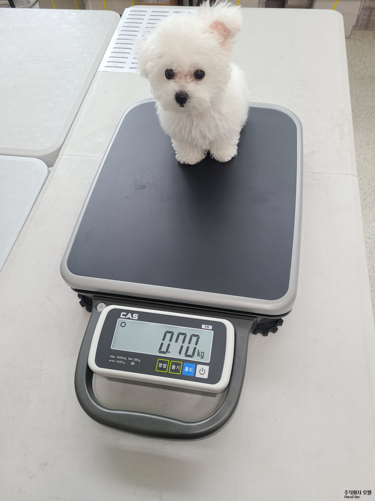 주식회사 오월 이미지