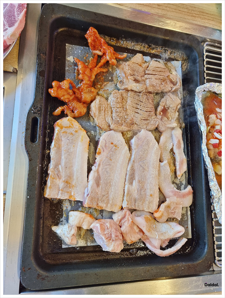 바다나무 이미지