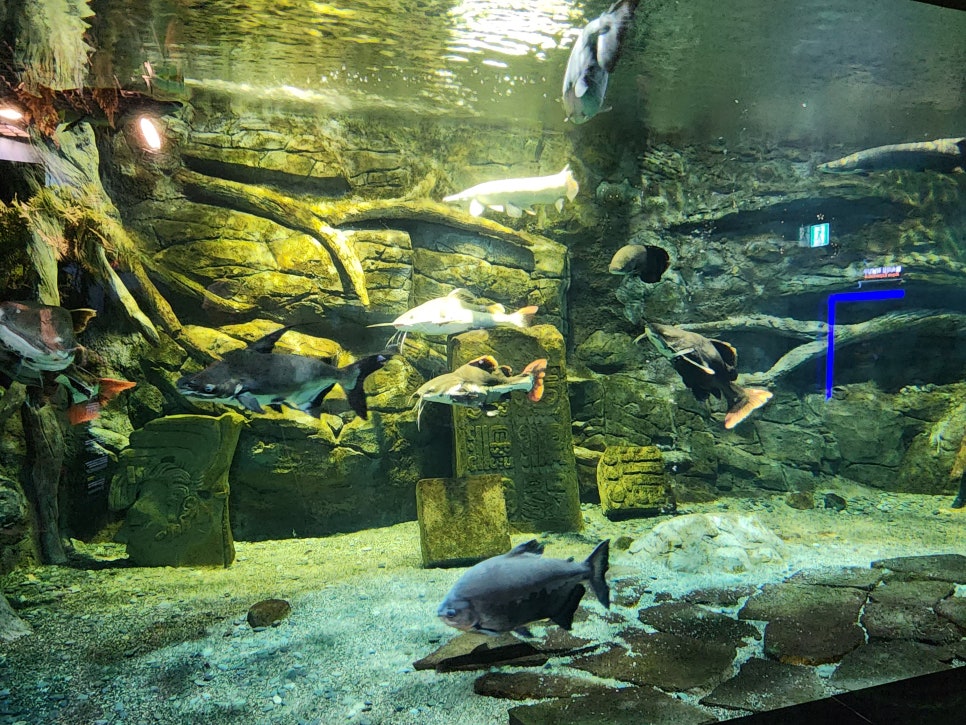 홍가네곱창 이미지