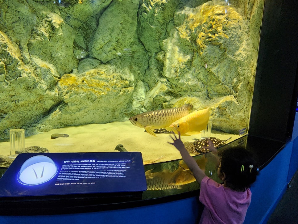 홍가네곱창 이미지