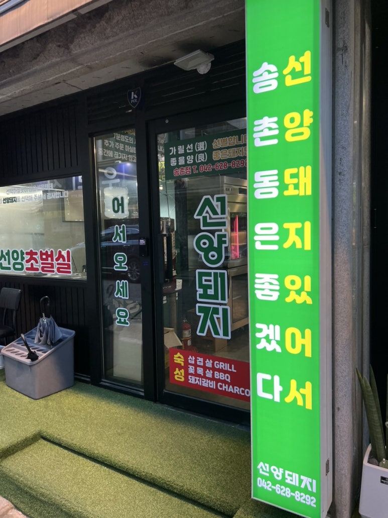 선양돼지 이미지