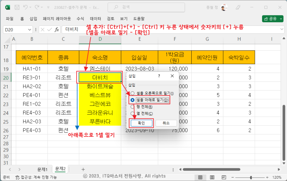 지노셀 이미지