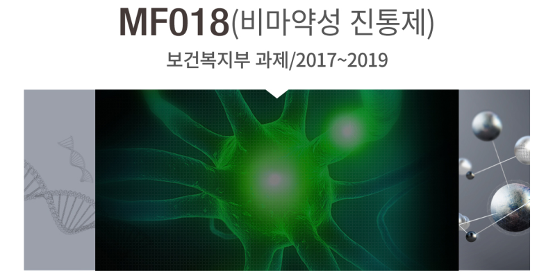 메디비바 이미지