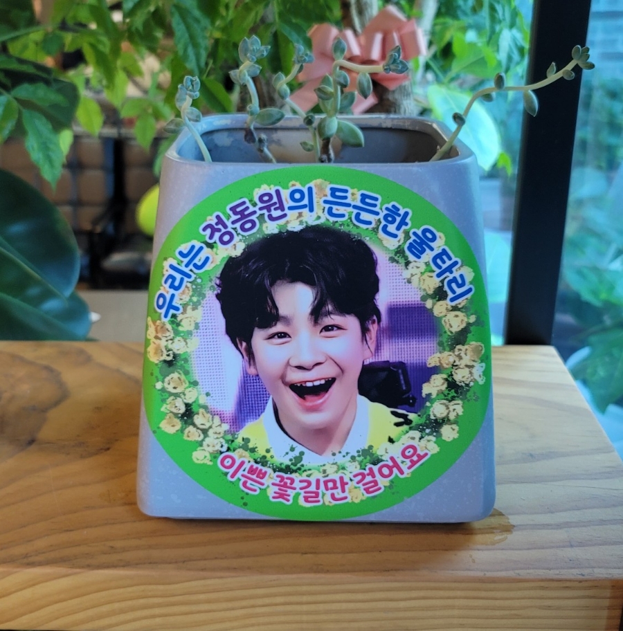 카페하동꽃길 이미지
