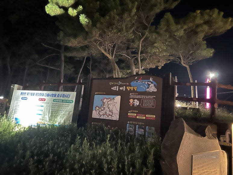 이호애 이미지
