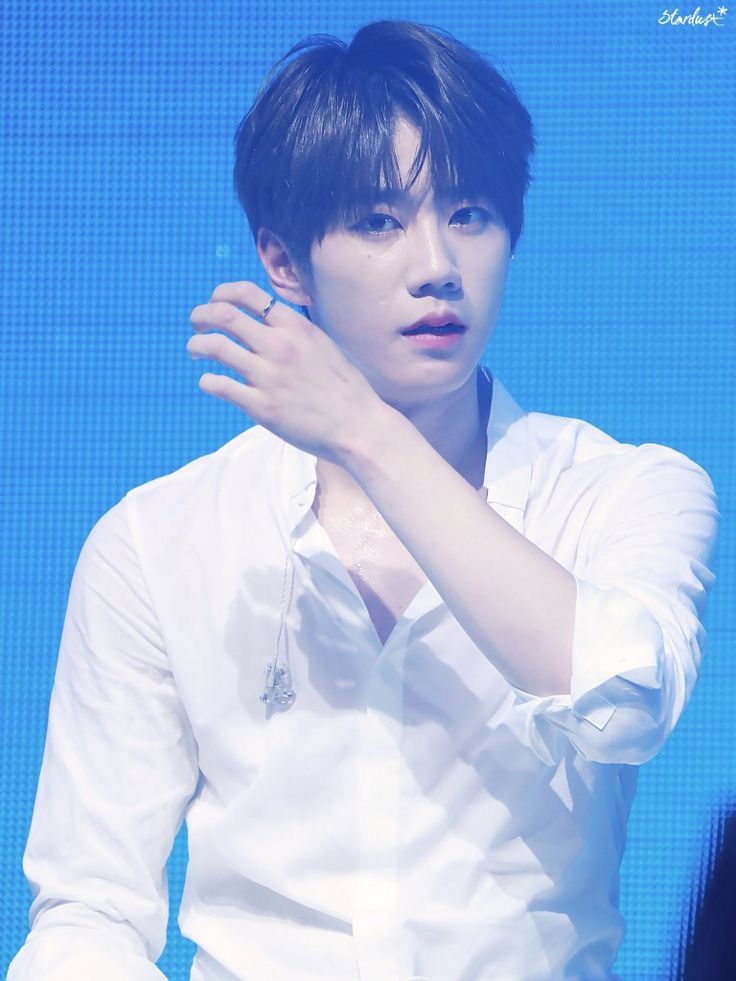 이브헤어 이미지