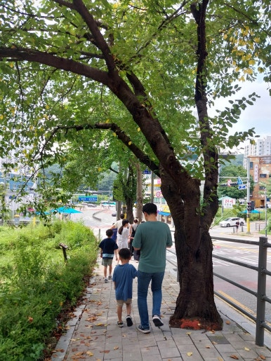 이디야상현 이미지