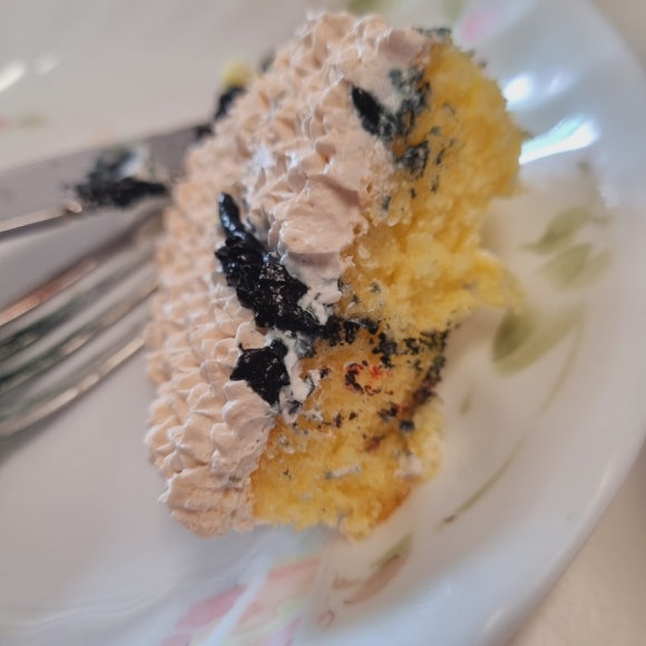케치롱 이미지