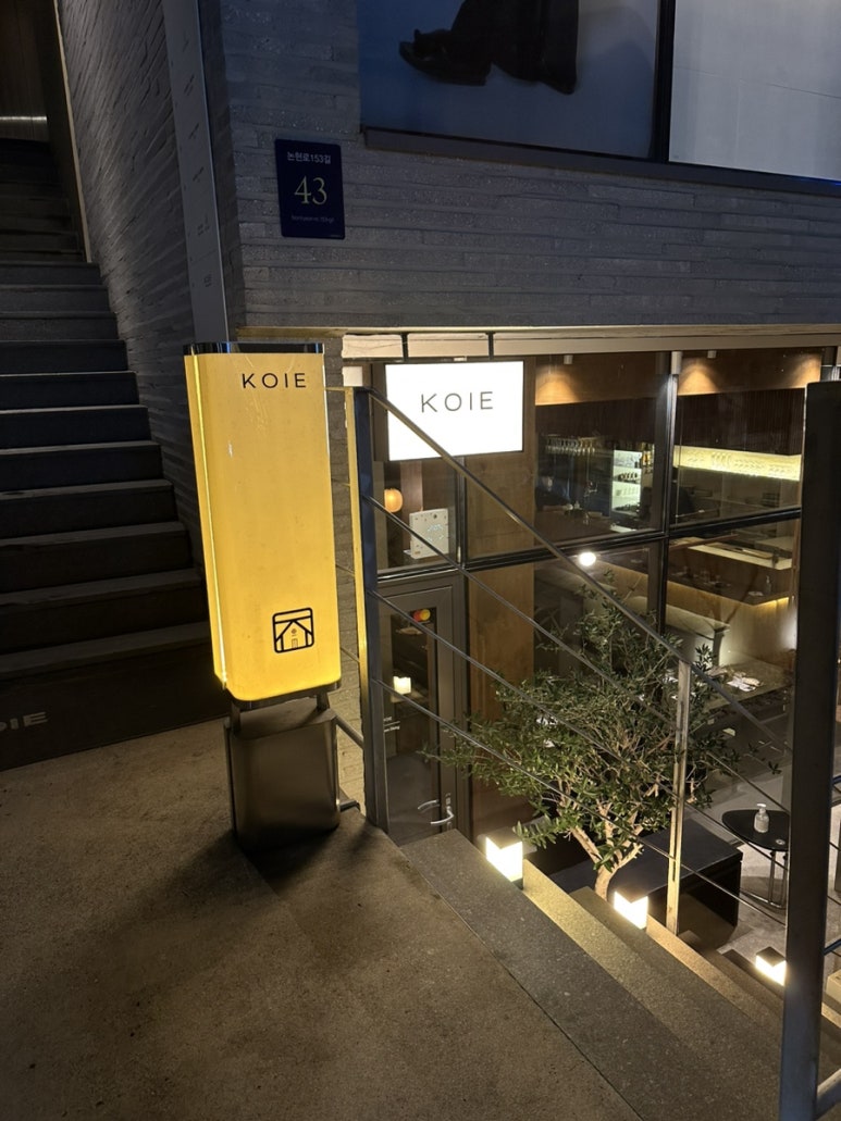 코이에(KOIE) 이미지