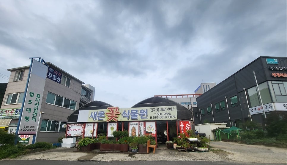 새론디자인 이미지