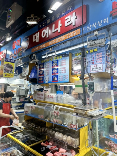 대어나라 이미지