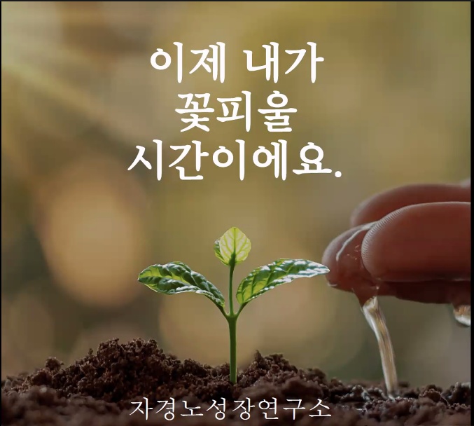 하루경영연구소 이미지
