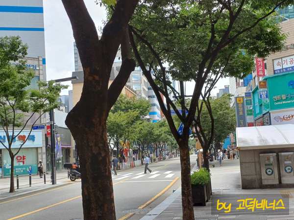 삼송제시카즈베이커리 이미지