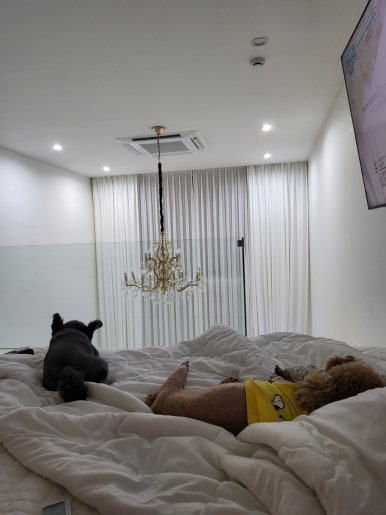여수느낌 이미지