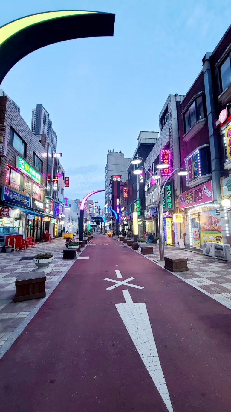 참치오일리 이미지