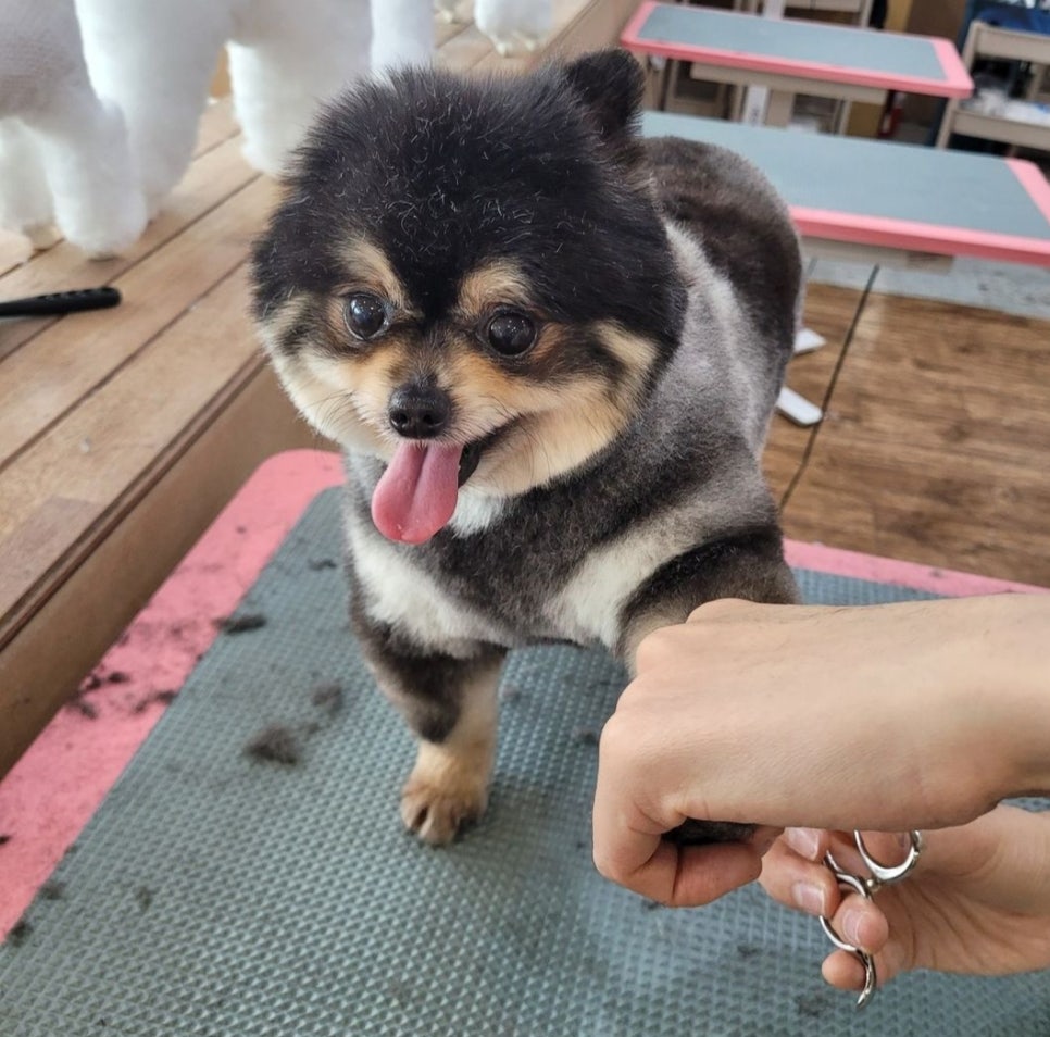 파리바게뜨(자은점) 이미지
