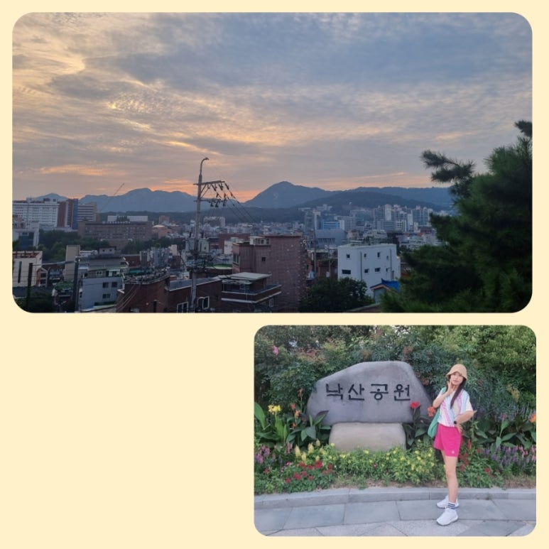위드줌바 이미지