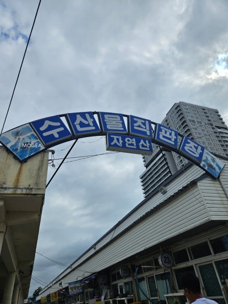 시장활어회직판장 이미지
