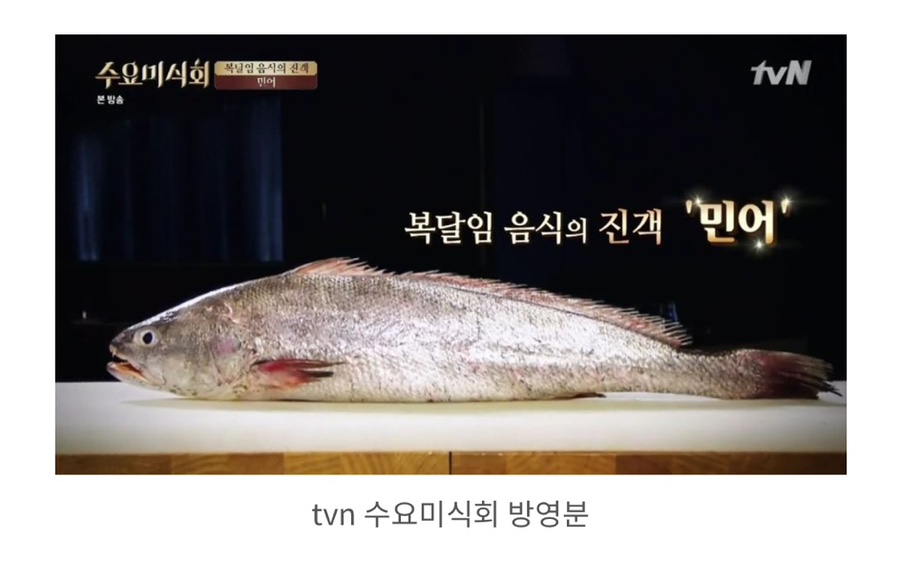 대어나라 이미지