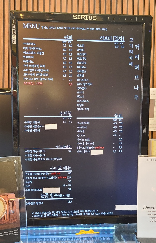 커피허브나무 이미지