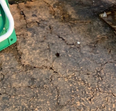 지에스25 제주칠성점 이미지