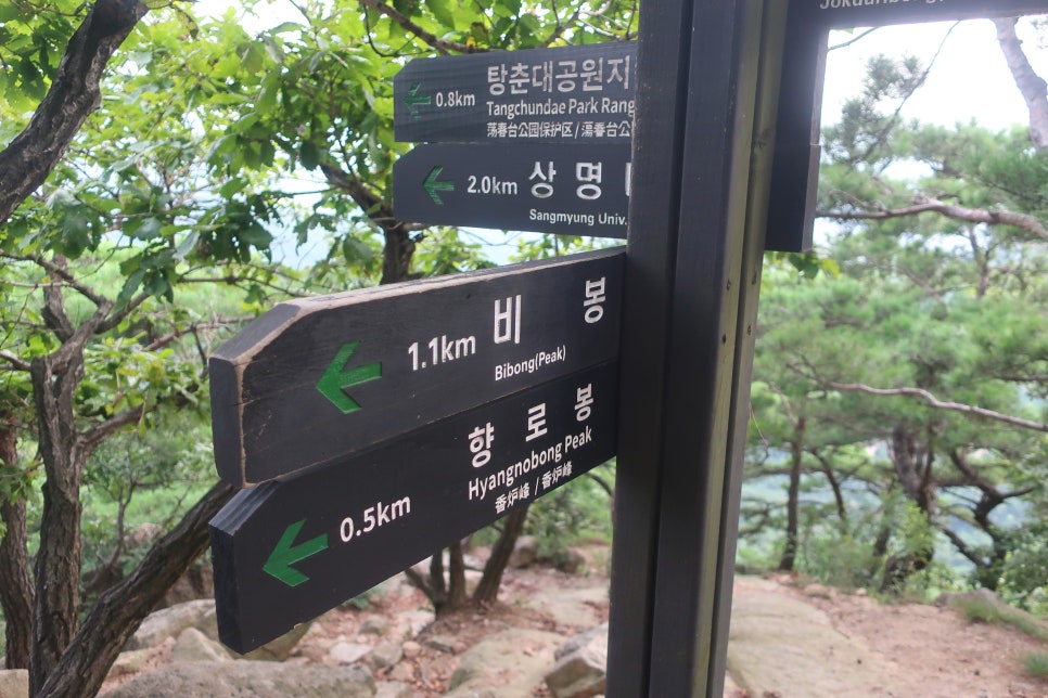 향로봉 부근 이미지