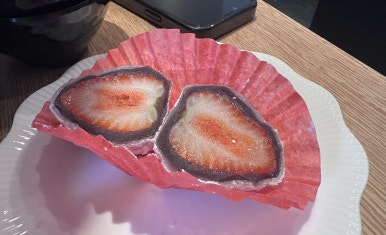 팥도리 이미지